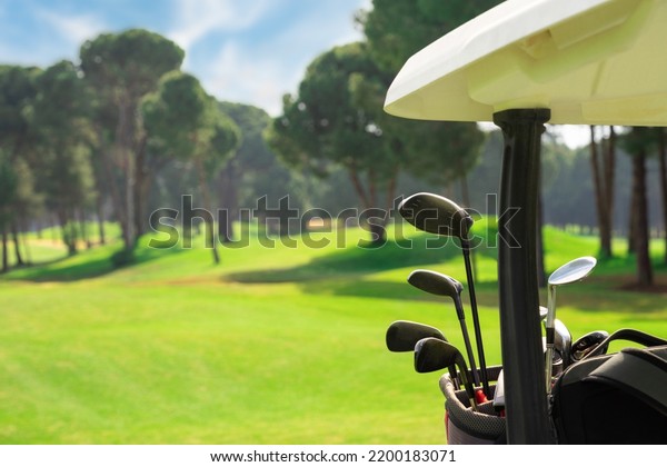 Close-up of golf\
clubs in golf bags at the back of a golf cart on a beautiful golf\
course with pine trees