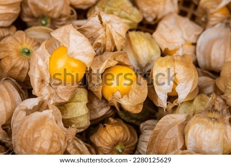 Closeup of goose berries with skin intact at market stall