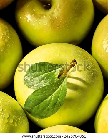 A close-up of a Granny Smith apple with water droplets on its skin. #apple #🍎 #fruit #healthy #food #delicious #crunchy #sweet #tart #red #green #yellow #applesauce #applepie #applecider #applebutter