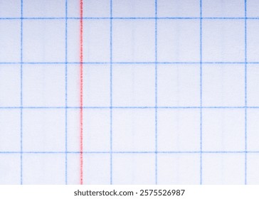 Close-Up of Graph Paper Page with Blue Grid and Red Margin Line - Powered by Shutterstock - Get 15% off with code: PIKWIZARD15