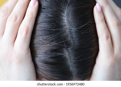 Closeup Of Gray Hair On Woman Head