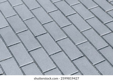 Close-Up of Gray Interlocking Paving Bricks on a Walkway