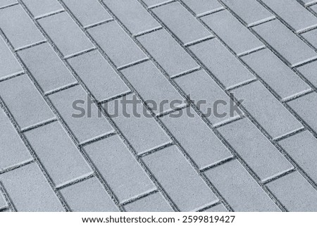 Close-Up of Gray Interlocking Paving Bricks on a Walkway