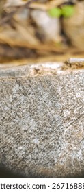 A close-up of a gray, textured surface that appears to be concrete or stone. The image captures the rough, granular quality, making it a great abstract background for architectural, industrial, or urb