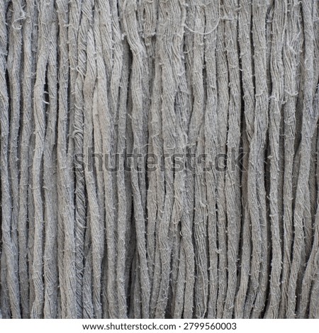 Closeup of gray tree bark texture