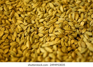 Close-up of green cardamom pods. Perfect for culinary, spice, or ingredient backgrounds, showcasing the intricate texture and vibrant color of fresh cardamom. - Powered by Shutterstock