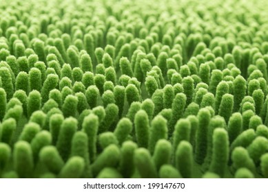 Close-up Green Cleaning Doormat Or Carpet Texture