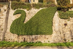 Close-up Of A Green Creeper Plant In The Shape Of A Swan On A Stone Wall, Topiary Art In Bergamo Upper Town, Lombardy, Italy, Europe.