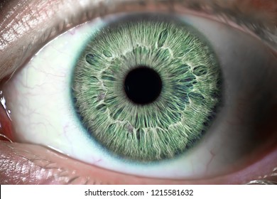 closeup of an green eye