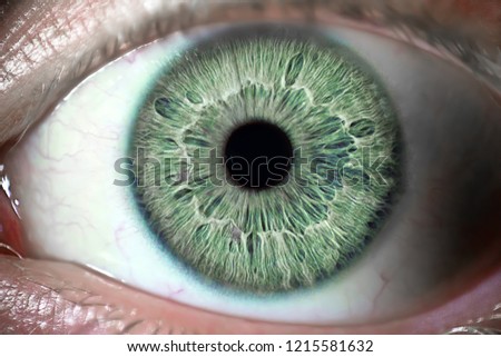 closeup of an green eye