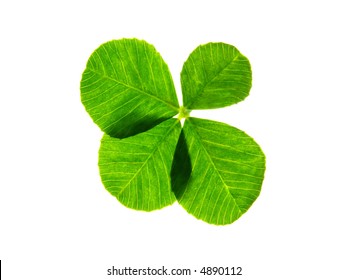 Close-up of green four leaf clover against white background - Shutterstock ID 4890112