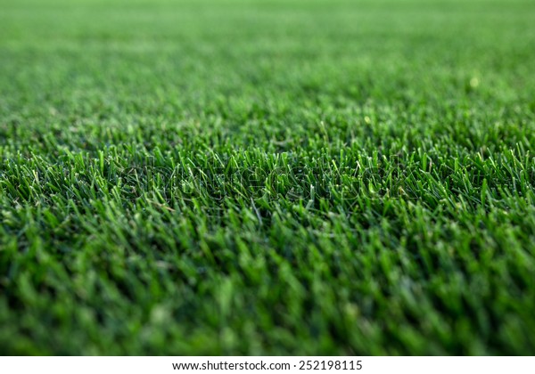 Closeup Green Fresh Cut Focused Lawn Stock Photo 252198115 | Shutterstock