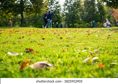 Close-up Green Grass. Blurred People Walking In The Park. Low Angle. Autumn Time