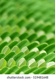 closeup green leaf pattern