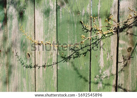 Similar – Foto Bild Carport Deko Leben Sonne