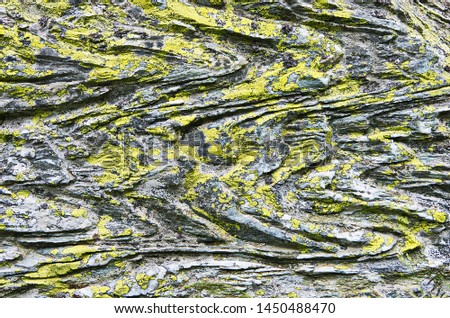 Close-up of grey limestone texture with zigzag pattern as a background. Wavy layers of rocks covered with green lichen. Colorful lichen growing on limestone rocks.