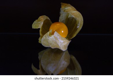 A Closeup Of A Groundcherry (Physalis) Isolated On A Black Surface