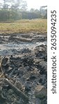 A close-up, ground-level shot of charred wood, ash, and rocks, remnants of a fire in a field with green grass and trees in the background.