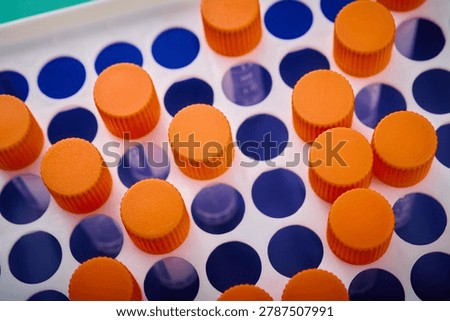 Close-up of a group of translucent polypropylene laboratory vials placed in a rack, for the examination of medical samples and laboratory experiments.
