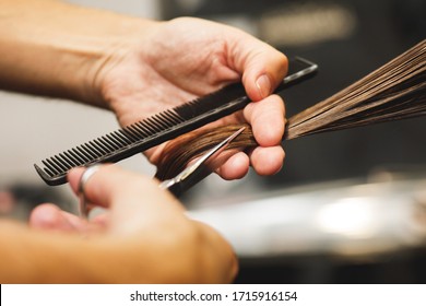 Close-up of hairdresser male hands during cutting female hair