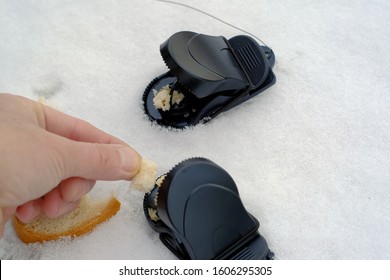 Close-up Of A Hand With Bread Setting A Mouse Trap, Winter Scene