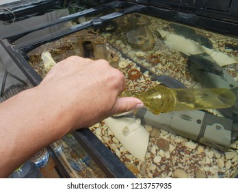 Close-up Of A Hand Cleaning Fish Tank With Vaccuum Cleaner