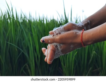 Closeup Of Hand During The Cleaning By Handwash. Handwash Foam In Hand Of A Female While Washing Her Hands In Rural India In Background Of Paddy Field. Wash Your Hands Regularly To Avoid Covid 19.