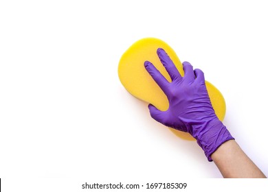 Closeup hand with glove holding yellow sponge for cleaning isolated on white background with clipping path.