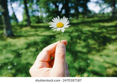 Close-up of hand holding white flower - Powered by Shutterstock