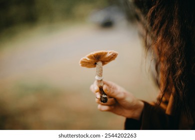 A close-up of a hand holding a wild mushroom with a tiny spider crawling on its gills. The background is softly blurred, highlighting the delicate details of the mushroom and nature's simplicity - Powered by Shutterstock