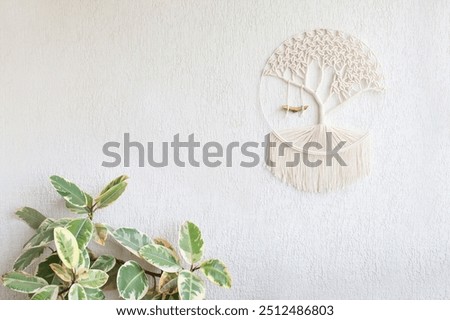Close-up of hand made macrame texture pattern. Tree of life. ECO friendly modern knitting DIY natural decoration concept in interior. Handmade 100% cotton. Female hobby. Copy space	