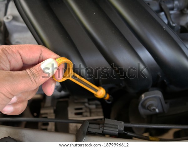 closeup of hand mechanic checking level motor oil in\
a car.