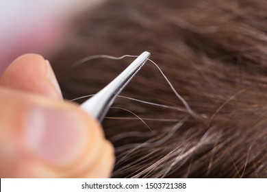 Close-up Of Hand Plucking Gray Hair With Tweezers - Powered by Shutterstock