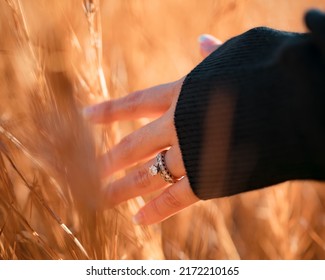 Closeup Of Hand With Ring Brushing Tall Weeds