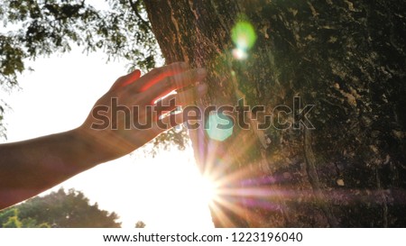 Closeup hand touching a tree trunk in the forest. Human is caring about nature and environment.