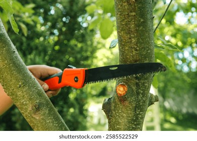 Close-up of a hand using a folding hand saw to cut a tree branch outdoors. Perfect for pruning, yard work, and garden maintenance projects.