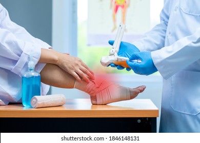 Close-up Hand Wear Medical Gloves Doctor In Medical Gloves Holds Artificial Boneof The Foot And Examines A Sore Ankle In Clinic, Concept Of Medical Orthopedic Treatment