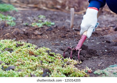 Close-up Of The Hand Weeding With The Rake In The Early Spring Garden