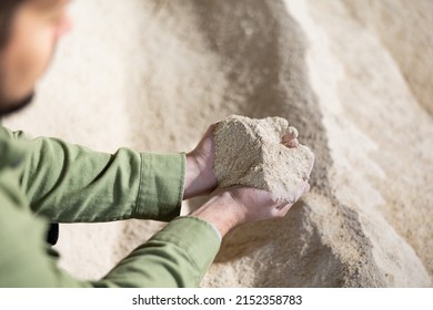 Closeup Of Handful Of Corn Meal In Hands Of Experienced Farmer Checking Quality Of Livestock Feed In Farm Storage..