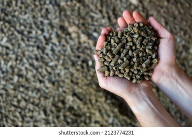 Closeup Of Handful Of Granulated Rapeseed Meal In Male Hands. Concept Of Organic Supplement In Production Of Compound Feed For Livestock Animals