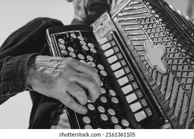 Closeup hands and buttons of accordion. Monochrome portrait of senior man, retro musician playing the accordion isolated on white background. Concept of art, music, style, older generation, vintage