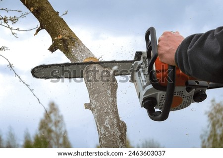 Close-up of hands with a chainsaw cutting down a tree
