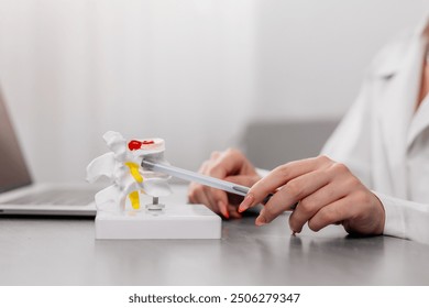 Close-up of a doctor’s hands demonstrating a detailed medical explanation using a spine model. Ideal for showcasing expert knowledge, patient education, and healthcare professionalism. - Powered by Shutterstock