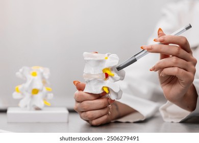 Close-up of a doctor’s hands demonstrating a detailed medical explanation using a spine model. Ideal for showcasing expert knowledge, patient education, and healthcare professionalism. - Powered by Shutterstock