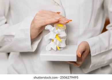 Close-up of a doctor’s hands demonstrating a detailed medical explanation using a spine model. Ideal for showcasing expert knowledge, patient education, and healthcare professionalism. - Powered by Shutterstock