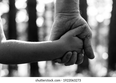 Close-up hands, father with son in the Park. Black and white photo.