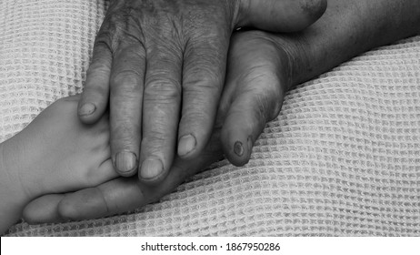 Closeup Hands Of Great Grandchild And Her Great Grandmother. Diverse Hands Of 4 Year Old Child And 81 Year Senior Woman. Multi Generation Family Love Concept