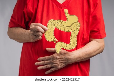 Close-up Of Hands Old Woman Holding A Large Intestine Shape Made From Yellow Paper. Treatment And Prevention Of Constipation And Diarrhea. Intestinal Microflora And Probiotics. Healthcare Concept