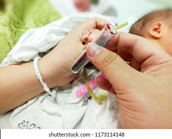 Closeup Hands Of Pediatric Nurse Using IV Catheter Stab On Sick Newborn Baby Hand And Drained His Blood To Blood Tube For To Checkup Glucose And All Virus In His Blood At NICU Wards.