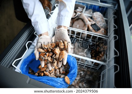 Close-up of hands in rubber gloves of a fishmonger at fish store taking sea mussels out of refrigerator full of frozen ocean seafood. High angle view, top view.